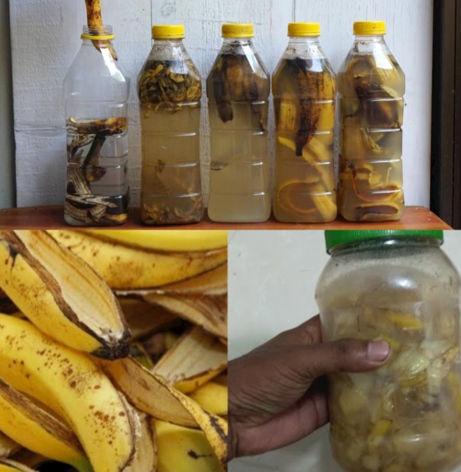 Unleash the Power of Banana Peels: A Simple Trick for a Better Home and Garden