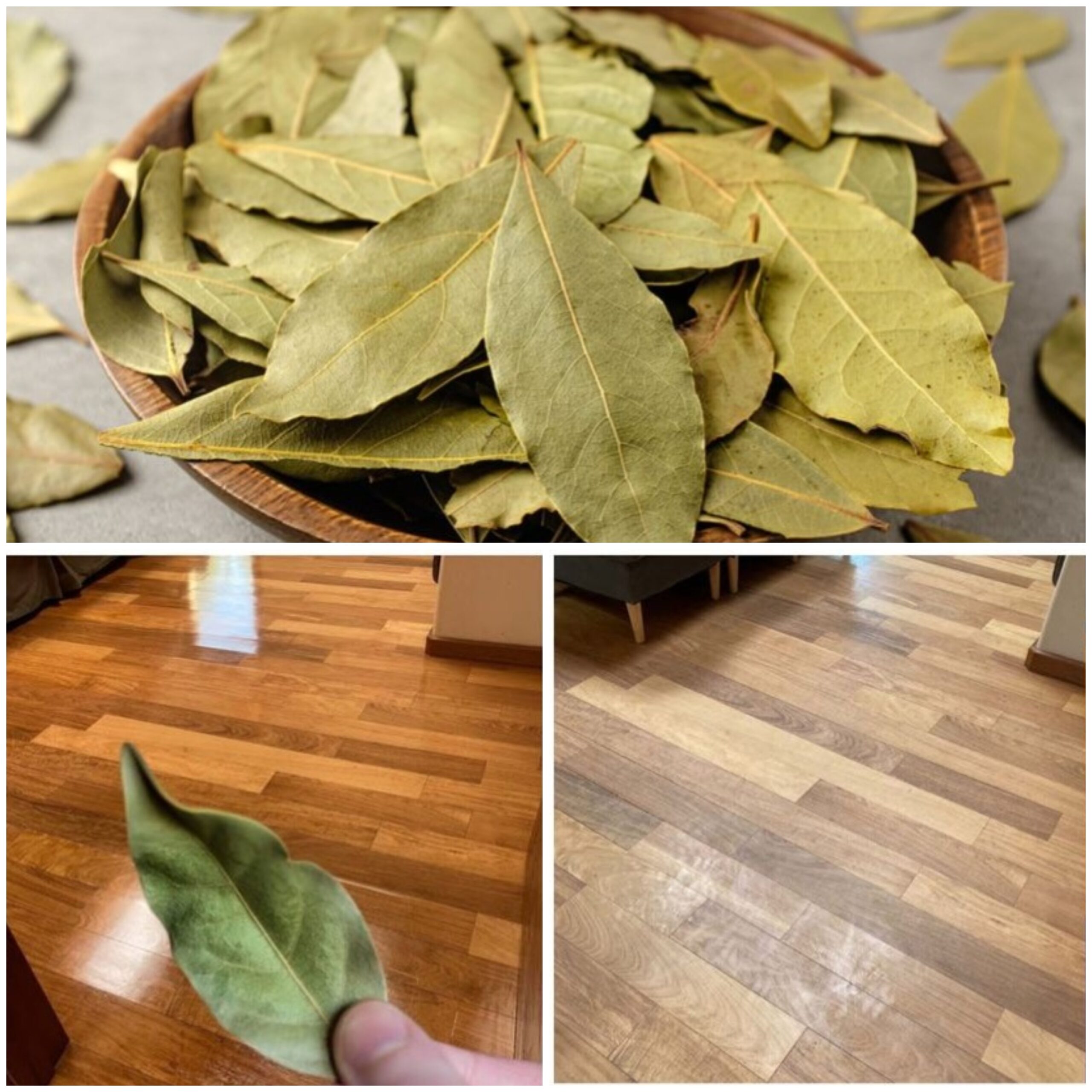 How to make an eco-friendly cleaner with bay leaves