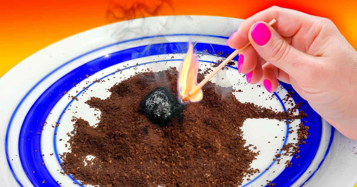 Coffee Grounds: The Aromatic Mosquito Repellent You’ll Love