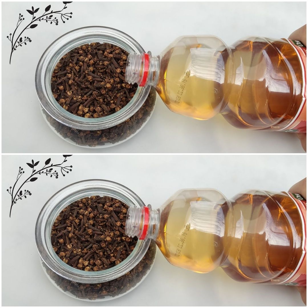 Discover the Power of Cloves and Vinegar: A Natural Mouthwash and Pest Repellent