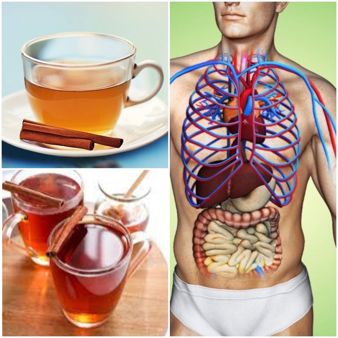 Discover the Amazing Benefits of Drinking Cinnamon Tea Daily