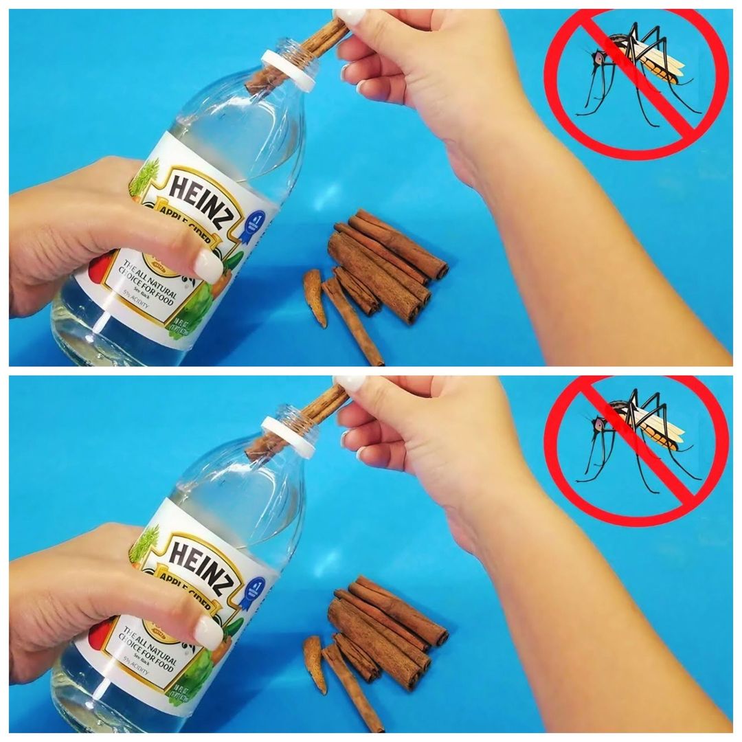 Make Your Own Natural Mosquito Repellent at Home!