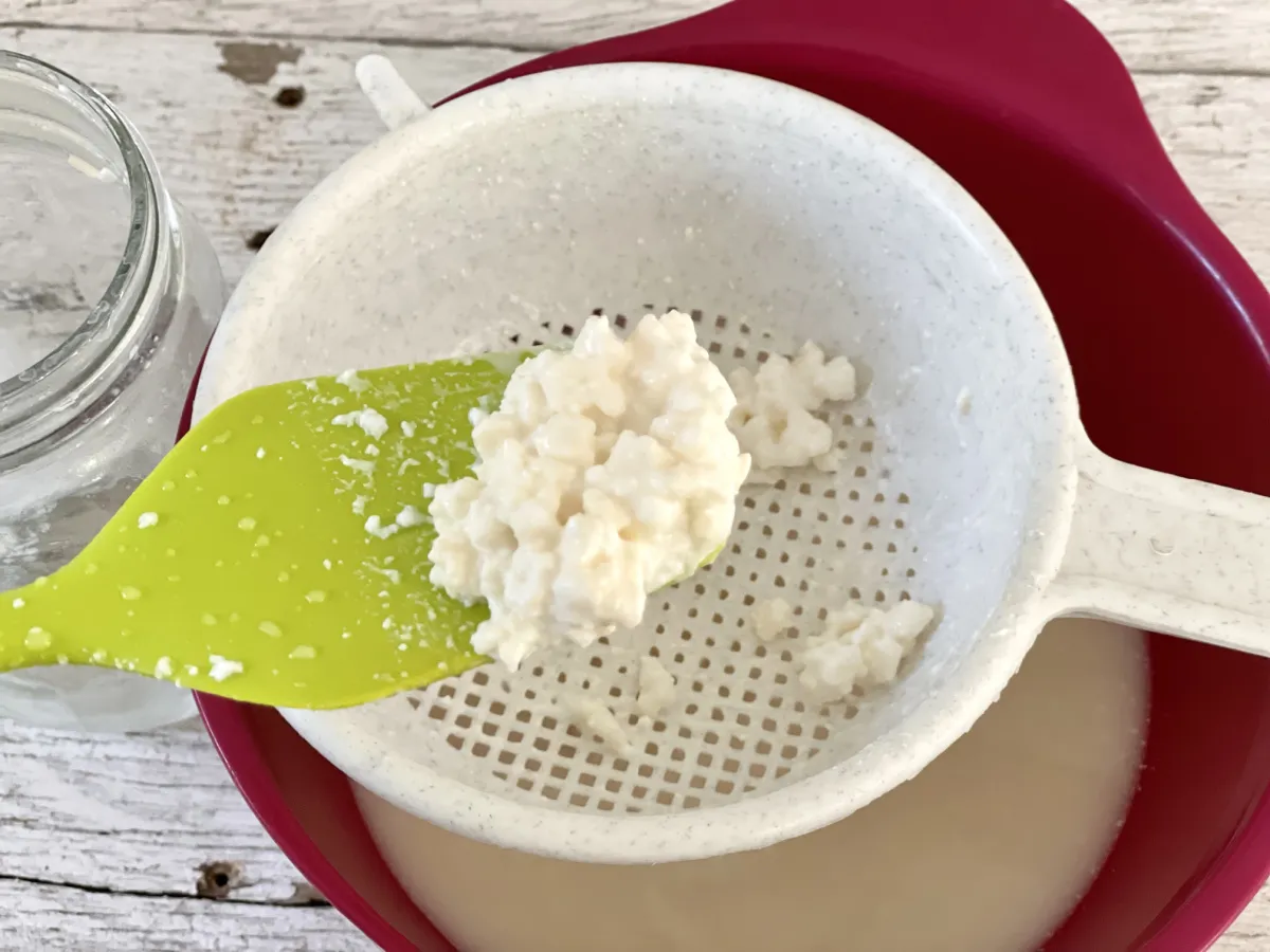 Crafting Kefir at Home: A Simple Guide to Fermented Goodness