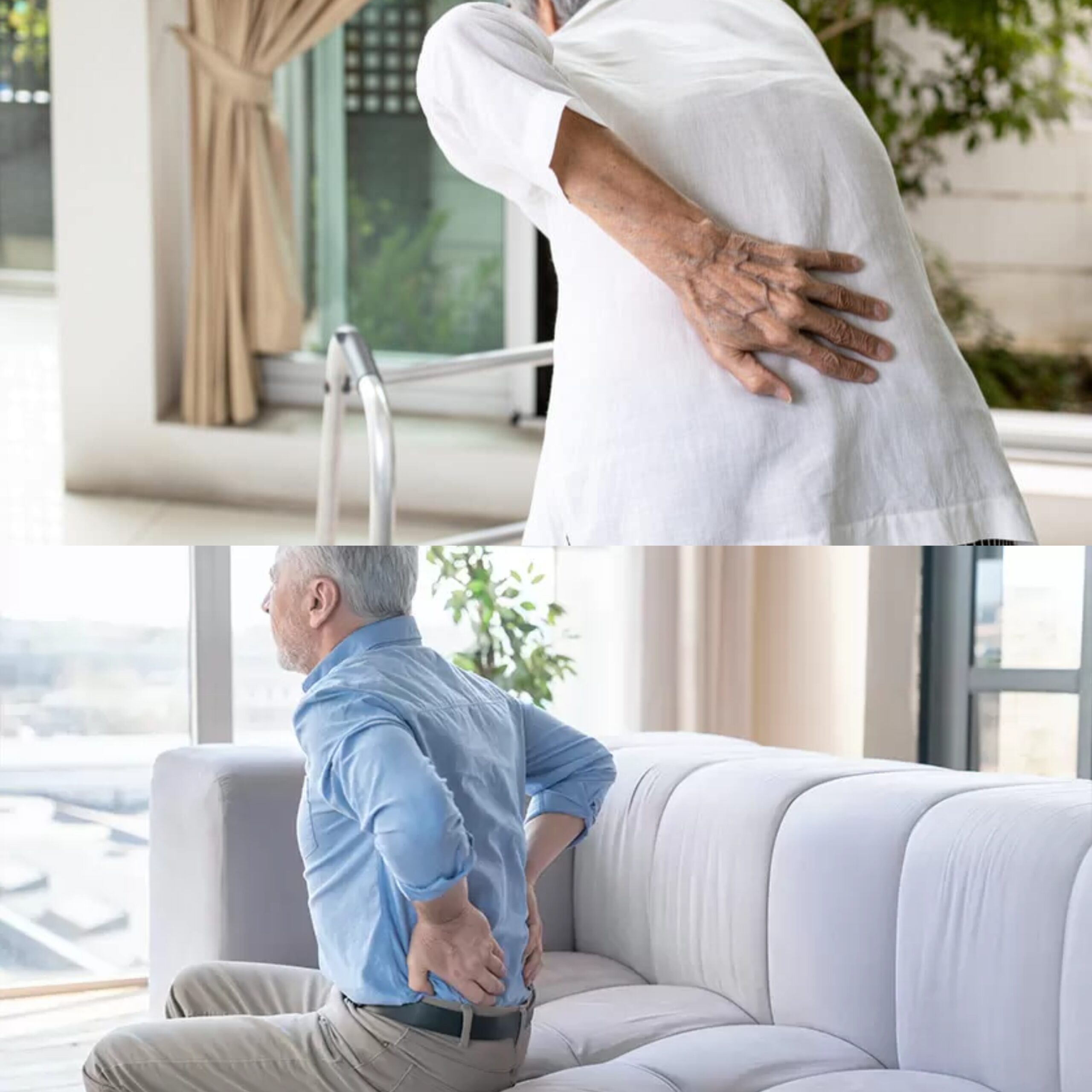 Understanding and Caring for Your Back: A Friendly Guide