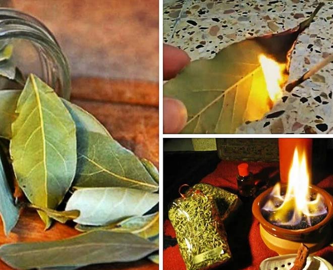 Discover the Tranquil Magic of Burning Bay Leaves in Your Room