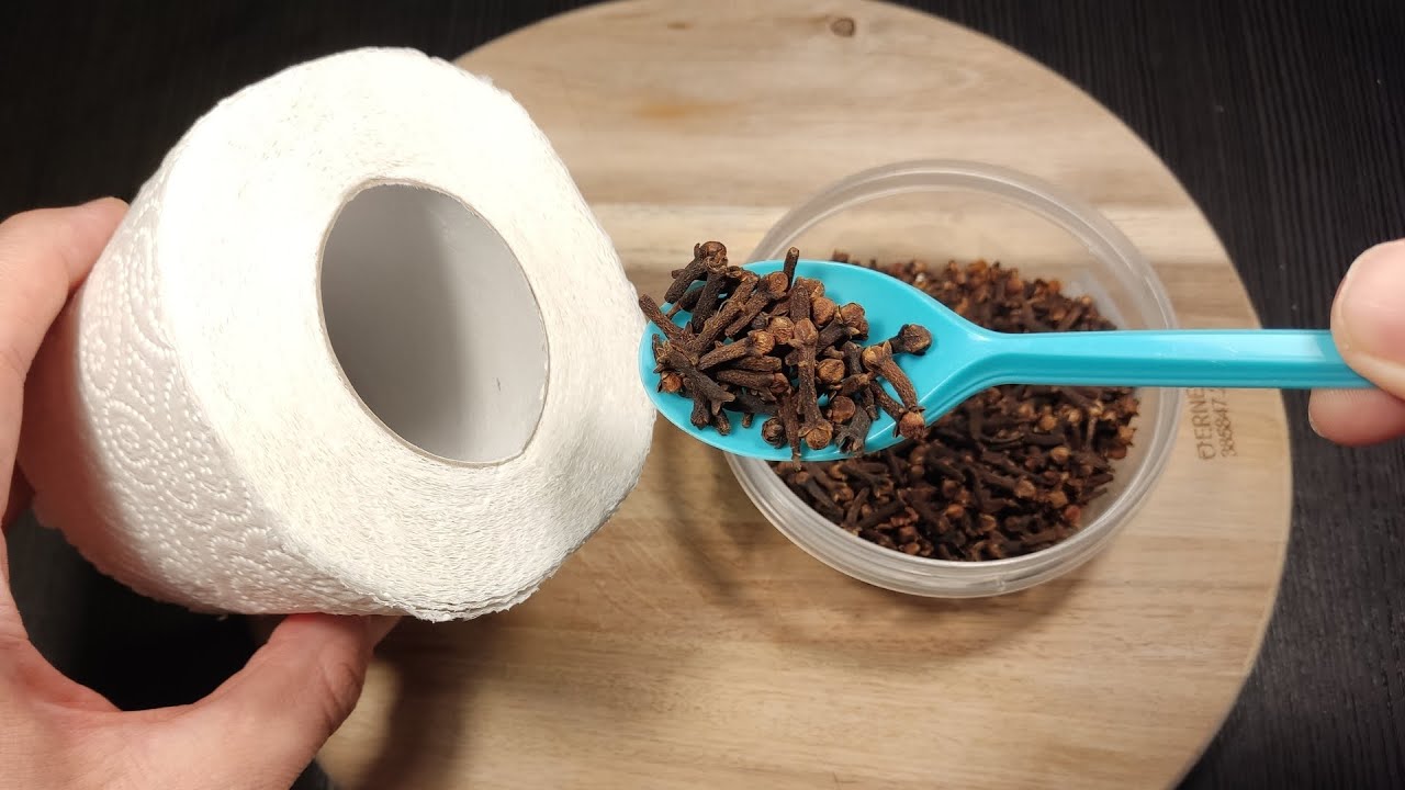 The Clove Surprise: A Fresh Twist on Toilet Paper