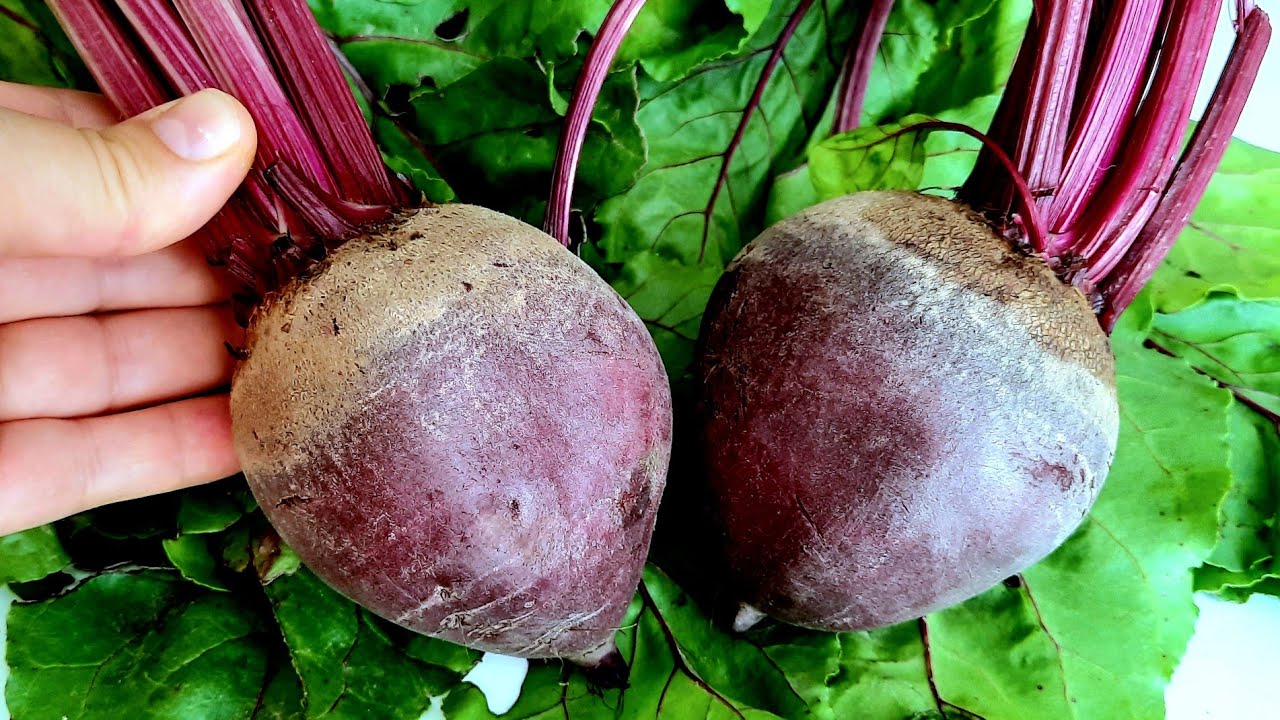 Unlocking the Secret: The Miracle Red Beet Recipe