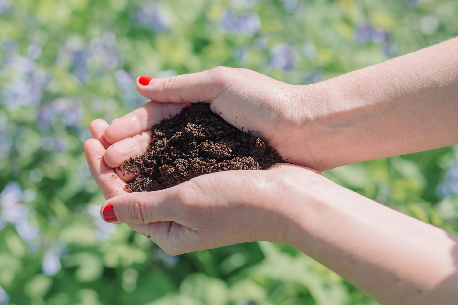 Discovering the Magic of Coffee Grounds: A Treasure Too Good to Toss