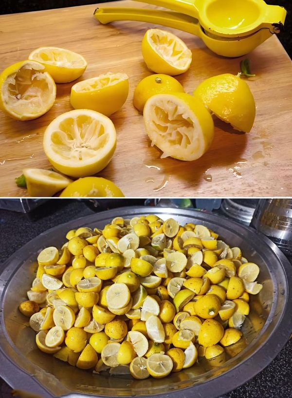 Recycle lemon peels by soaking them in oil instead of throwing them out. - Easy Recipes