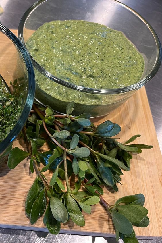 Discovering the Delight of Purslane: A Culinary Adventure