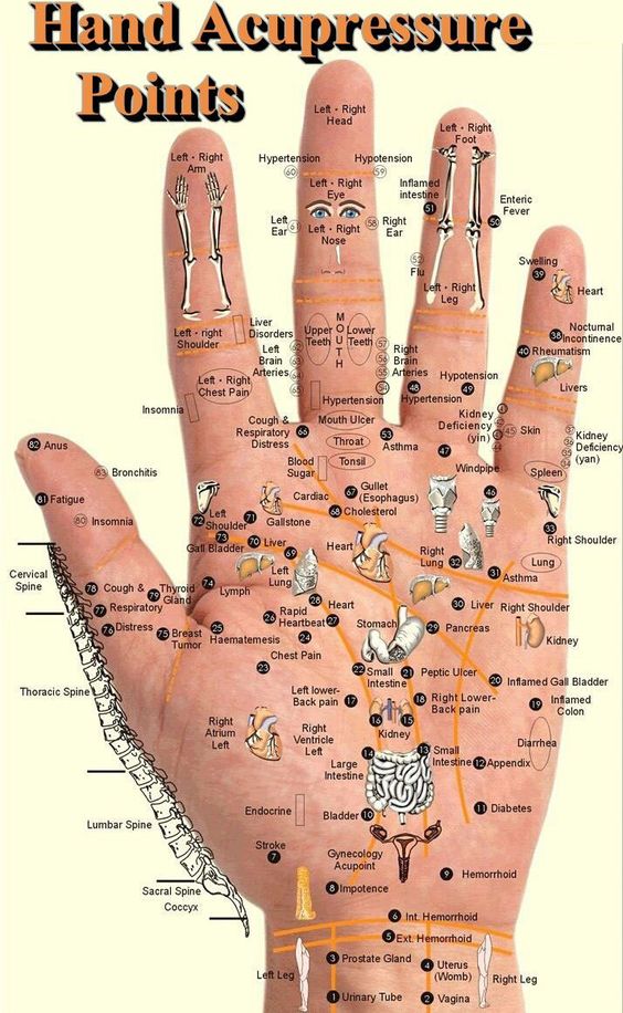 Healing Your Body Through Your Hands: Discovering Acupressure Points