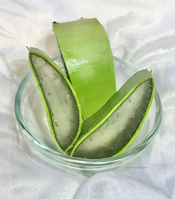 How to Make Aloe Vera Oil for Hair: A Simple, Nourishing Recipe