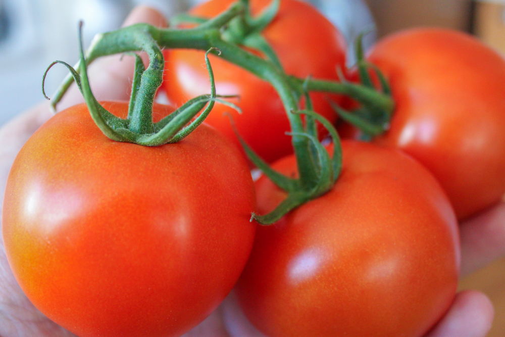 Practical Tips for Freezing Tomatoes: Savor the Taste of Summer All Winter Long