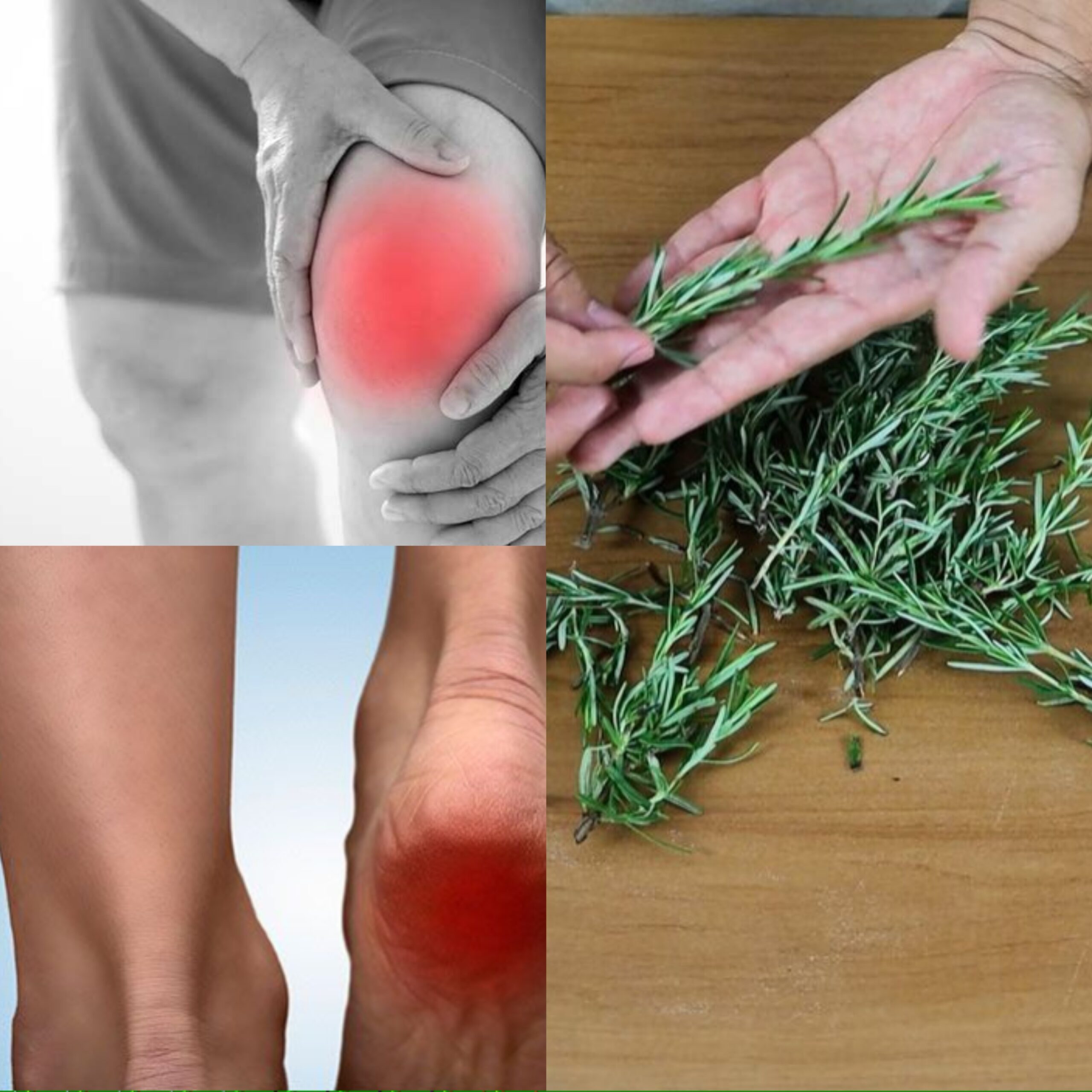 Rosemary: A Herb with Healing Powers