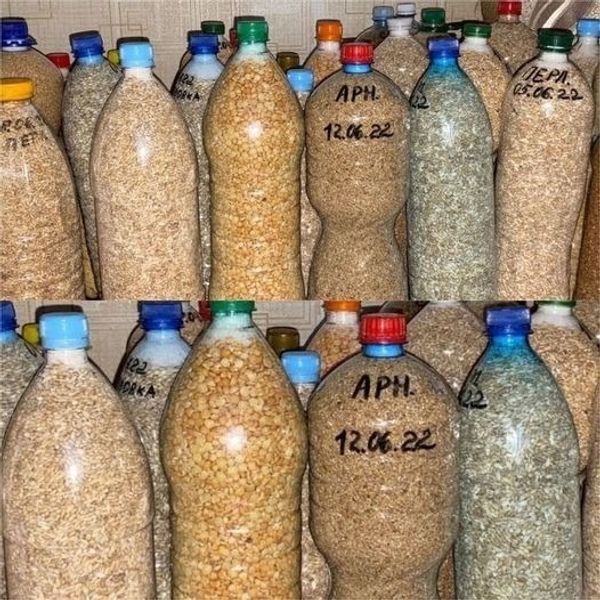 Method for Preserving Rice in Bottles for Long-Term Use