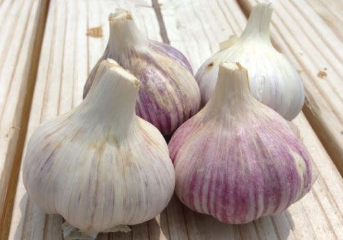 The Hidden Side of Garlic: When It Might Not Be Good for You
