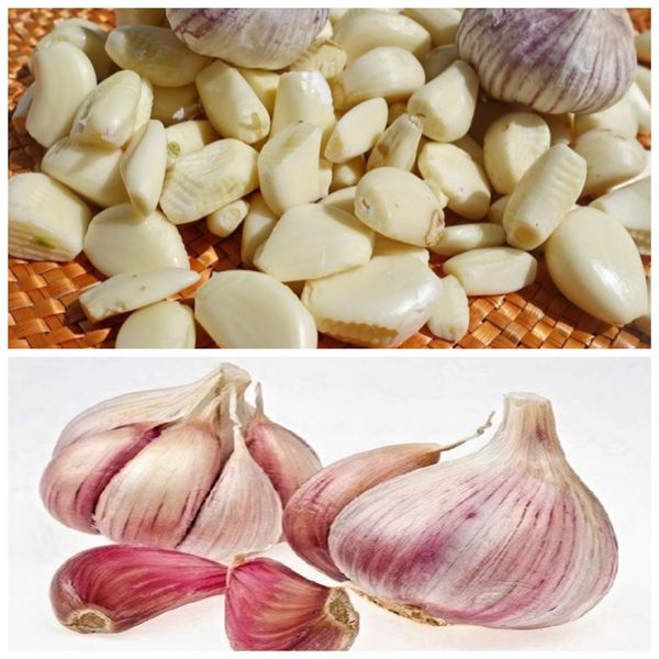 11 Secrets about Garlic You Didn’t Know