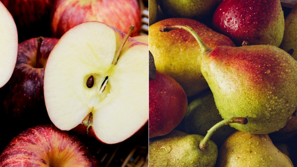 Rediscovering Grandma’s Homemade Apple and Pear Juice Recipe from 100 Years Ago