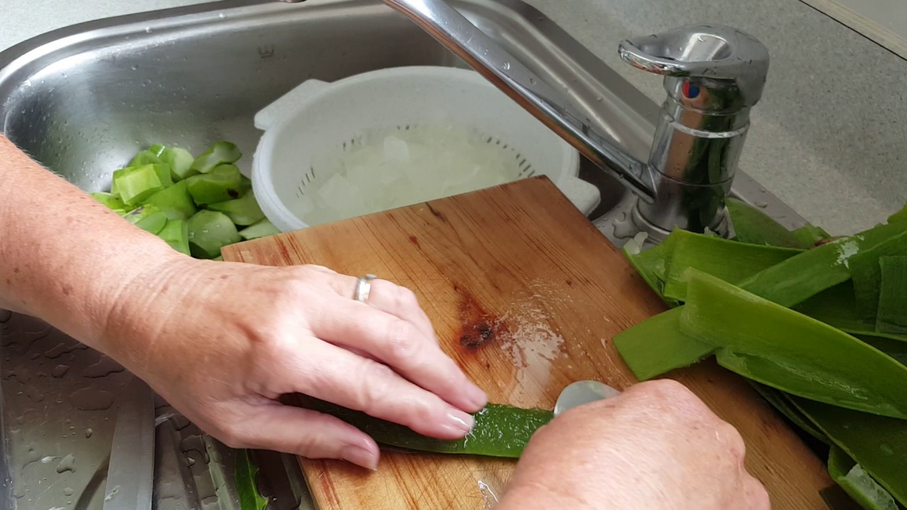 How to Prepare Aloe Vera for Cooking: A Step-by-Step Guide