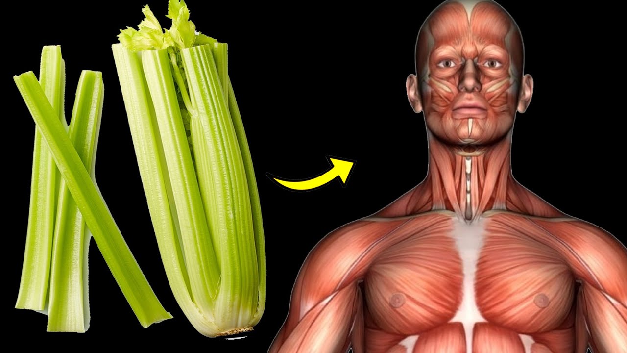 The Surprising Benefits of Adding Celery to Your Daily Diet