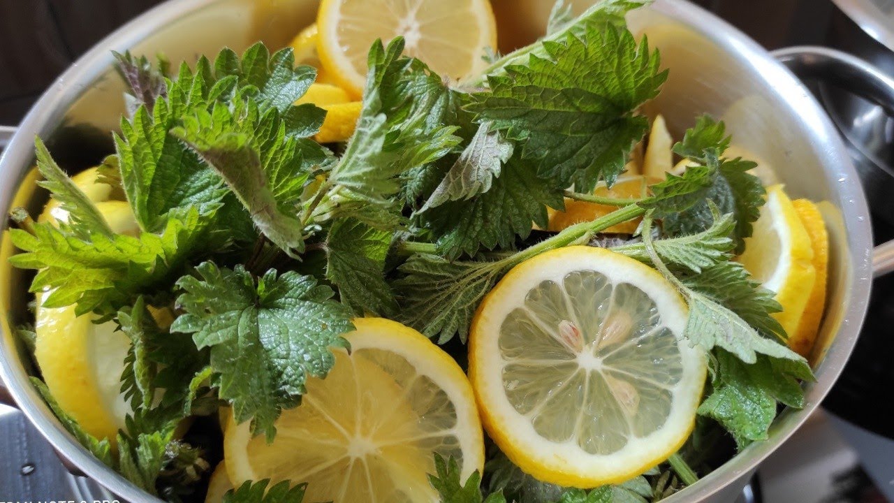 Nettle Juice: A Refreshing and Nutritious Beverage without Preservatives or Cooking!