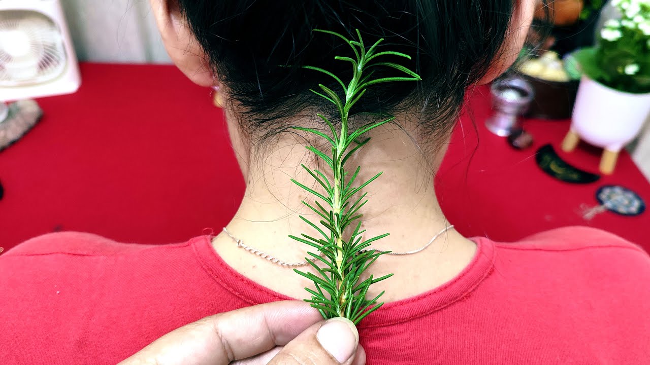 Discover the Surprising Benefits of Rosemary: A Natural Remedy for Neck Discomfort