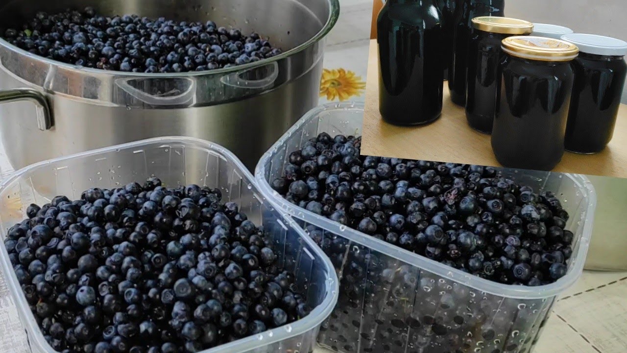 My Blueberry Adventure: Crafting Juice and Jam for Health and Happiness 😊