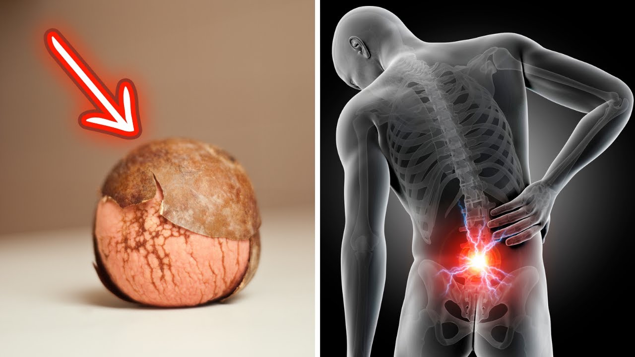 Discovering the Natural Remedy for Back Pain: Avocado Seed