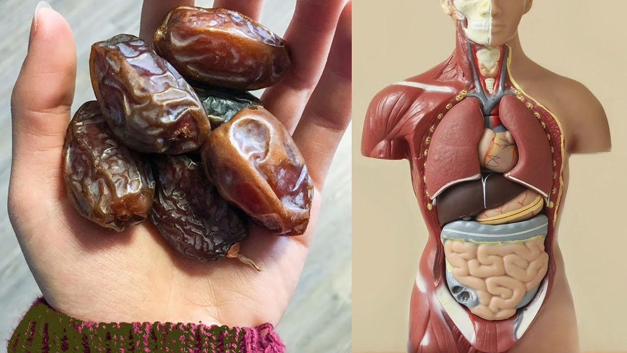 The Sweet Benefits: Transform Your Health with Two Dates a Day