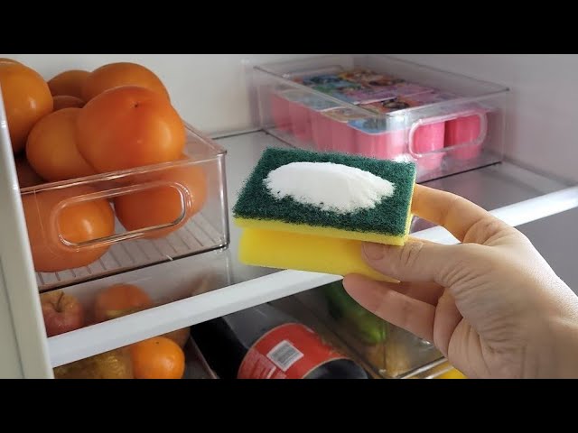 Why You Should Keep a Sponge in Your Fridge