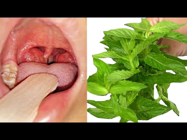 The Natural Powerhouse Drink: A Remedy for Coughs, Bronchitis, and More