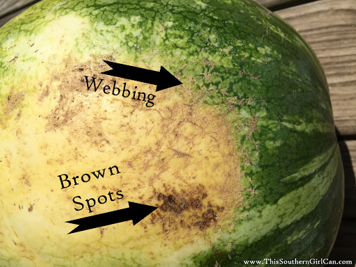 Choosing the Perfectly Sweet Watermelon: A Guide for Savvy Shoppers